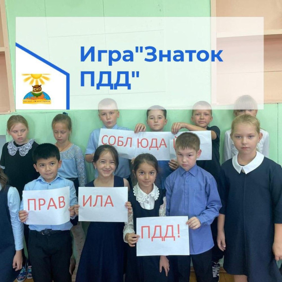 игра "Знатоки ПДД".